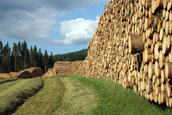 &Acirc;&copy; Zophoba - Fotolia.com